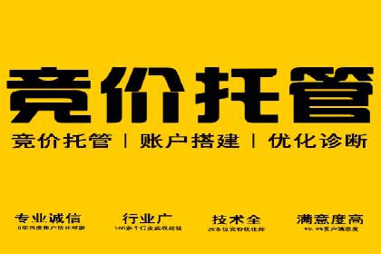 竞价推广SEM托管：助力企业抢占市场先机案例解析
